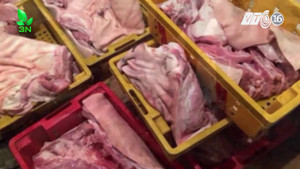 Hơn 1 tấn thịt lợn nấm mốc, hôi thối 'đội lốt' an toàn suýt 'lên mâm'