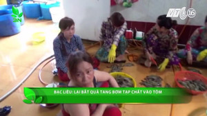 Bắt quả tang 20 công nhân tiêm tạp chất vào tôm chuẩn bị tung ra thị trường