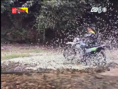 Phượt thủ phi mô tô giày xéo hàng nghìn con bướm bị dân mạng 'ném đá'