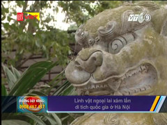 Linh vật ngoại lai xâm lấn di tích quốc gia ở Hà Nội