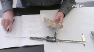 Phát hiện xương hóa thạch khiến lịch sử loài người có thể phải viết lại