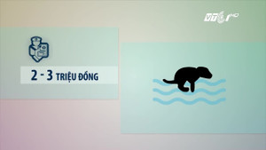 Tháng 5/2017: Bổ sung nhiều mức phạt mới