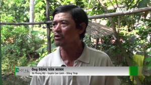 Đồng Tháp: Hàng chục người dân đồng loạt mắc bệnh hô hấp