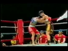 Xem Cung Lê đánh tơi tả nhà vô địch tán thủ Trung Quốc