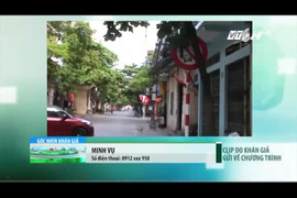 Biển báo giao thông núp lùm cây, đánh đố người đi đường