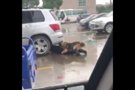 Chó hung tợn tấn công, người đàn ông chui xuống gầm ô tô vẫn không thoát nạn