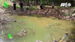 Xuống ao bắt nòng nọc, 3 học sinh chết đuối thương tâm