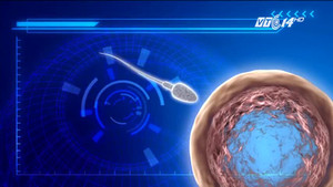 Bao cao su phân tử: Loại hình tránh thai ở tầm cao mới