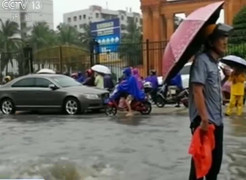 Cảm phục cụ ông đứng dầm mưa hàng giờ làm 'biển báo sống'