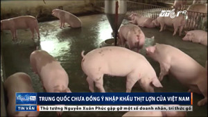 Trung Quốc chưa đồng ý nhập khẩu thịt lợn Việt Nam