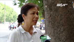 Hà Nội sắp chặt hạ, chuyển hơn 1.300 cây xanh: Người dân nói gì?