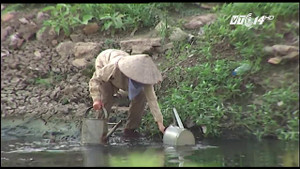 Kinh hãi vườn rau xanh non, tươi tốt được tưới bằng nước sông Tô Lịch