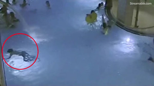 Bé trai 5 tuổi vùng vẫy xin cứu giữa bể bơi đông người nhưng không ai biết