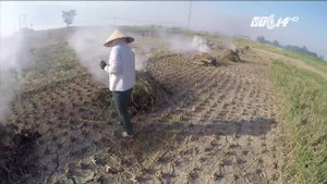 Trước khi đốt rơm rạ sau thu hoạch, nông dân phải biết thông tin này