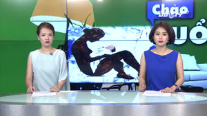 Người mẹ giết con 35 ngày tuổi: Bố cháu bé chưa biết vợ là nghi phạm giết con