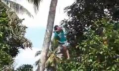 Trèo cây hái dừa, nam thanh niên bị thòng lọng thắt cổ suýt chết