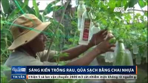 Nông dân Quảng Ngãi sáng tạo cách trồng rau quả sạch bằng chai nhựa phế thải