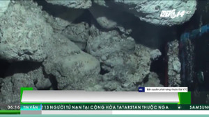 Khoét đá Trường Sa lấy vỏ sò tai tượng trái phép