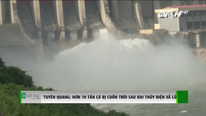 Thủy điện xả lũ, hơn 70 tấn cá của dân bị cuốn trôi