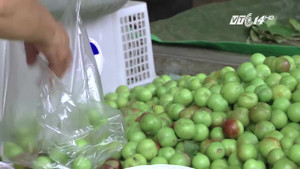 Hoa quả Trung Quốc đội lốt hàng Việt được tiêu thụ thế nào?