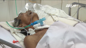 Chủ quan vết thương nhỏ, nhiều người rơi vào hôn mê