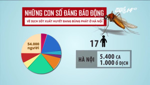 Dịch sốt xuất huyết bùng phát trên cả nước: Những con số giật mình