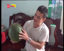 Kinh hãi dưa hấu để hơn nửa năm không hỏng ở TP.HCM