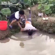 Vục đầu xuống ao, nam thanh niên bị rắn chui vào mũi