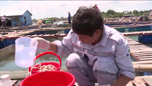 Video: Kinh hãi chất lạ nổi lềnh phềnh trên sông Chà Và