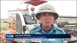 Nghệ An: Côn đồ lộng hành đòi phí bảo kê, đánh thợ gặt, cướp đi 20 triệu đồng