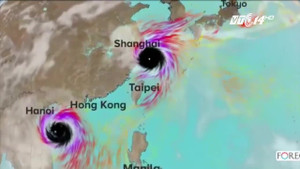 Vì sao bão số 10 di chuyển nhanh và mạnh bất thường?