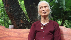 Bà lão ở Vĩnh Phúc dành hơn 5 ha đất làm nơi trú ngụ cho hàng ngàn con cò