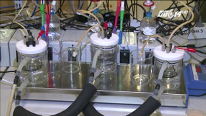 Với công nghệ đột phá này, con người có thể 'hít khí giời để sống'