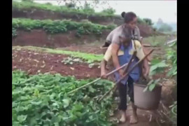 Video: Cảm động chồng mù cõng vợ còi xương đi làm gần 30 năm