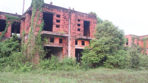 Ảnh: Khu đô thị mới bị lãng quên, biệt thự trăm tỷ nằm 'chết' trong cỏ cây