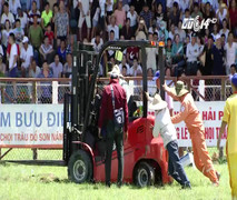 Điểm lại những bi hài trong lễ hội chọi trâu Đồ Sơn 2017