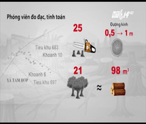 Hàng loạt cây Pơ mu ở Nghệ An bị tàn phá: Bất thường từ các báo cáo