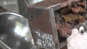 Cận cảnh nhà nuôi ong tránh bão của người dân Khánh Hòa