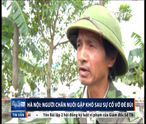 Video: Sau 2 tuần vỡ đê Bùi, dân vẫn vật lộn sống chung với nước lũ