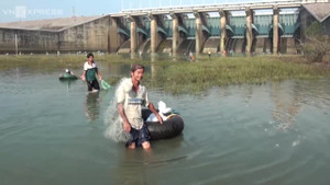 Video: Đổ xô đi bắt cá hàng chục cân dưới đập thủy điện Trị An