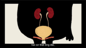 Nhịn tiểu có hại hay không?