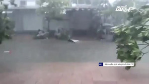 Ít nhất 20 người chết do bão số 12 gây ra