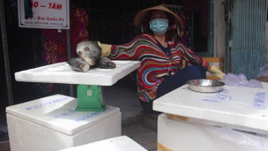 Con gái bán rẻ tôm hùm sót lại sau bão, gửi tiền về quê cho bố mẹ sửa nhà