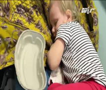 Bị mèo cào khi đang chơi đùa, bé 3 tuổi suýt mất mạng