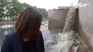 Video: Cận cảnh cống xả thải DN Trung Quốc đầu độc kênh thủy lợi ở Hưng Yên