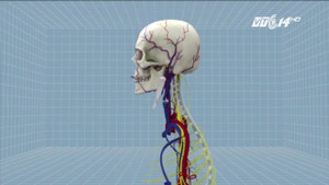 Trung Quốc không cho phép thực hiện phẫu thuật ghép đầu người