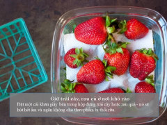 Video: Bạn có đang bảo quản rau sai cách?