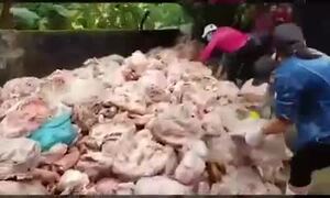 Đà Nẵng: Thu giữ 15 tấn thịt hôi thối sắp lên bàn nhậu