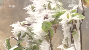 Miền Bắc sắp rét cực mạnh, vùng núi nhiều khả năng có băng tuyết