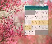 Năm 2018, dân được nghỉ bao nhiêu ngày lễ, Tết?